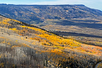 Grand Mesa Scenic Byway View