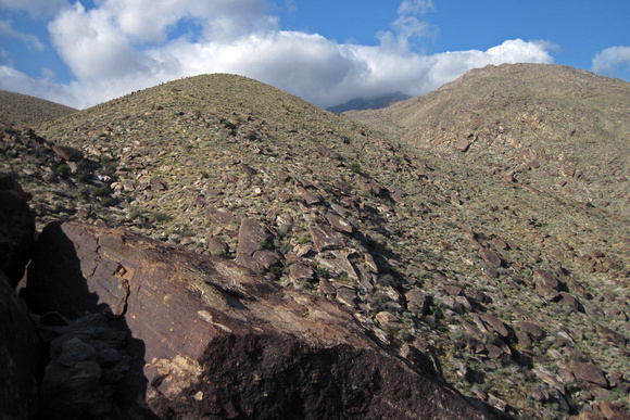 View From West Fork Trail