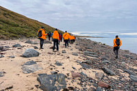 Hikers on the Beach Near Pond Inlet