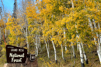 Grand Mesa National Forest